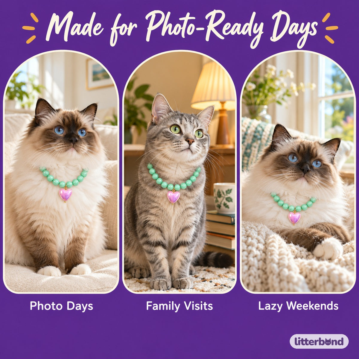 Candy Heart Bead Necklace for Photos on a cat at home