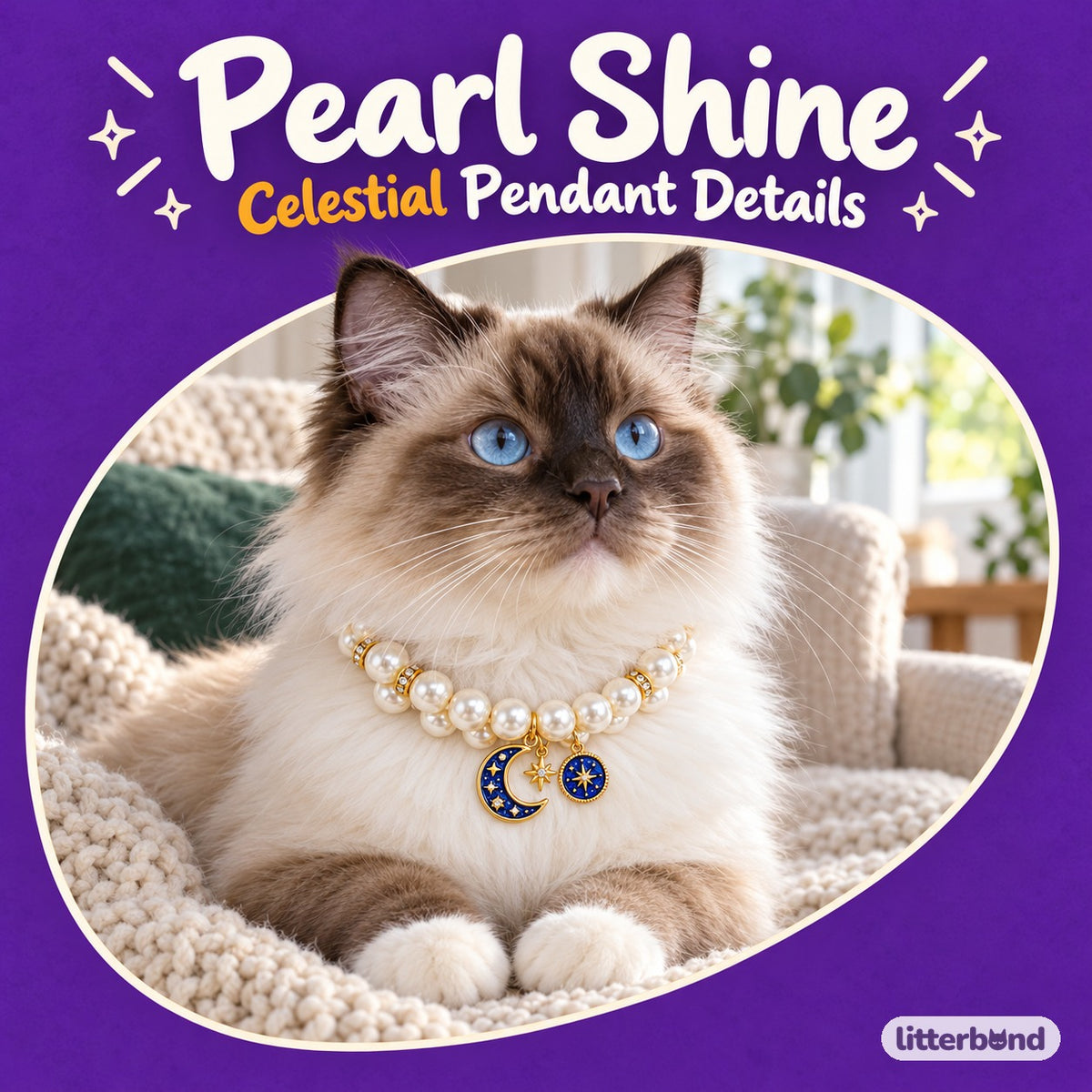 Celestial Pearl Necklace for Photos on a cat