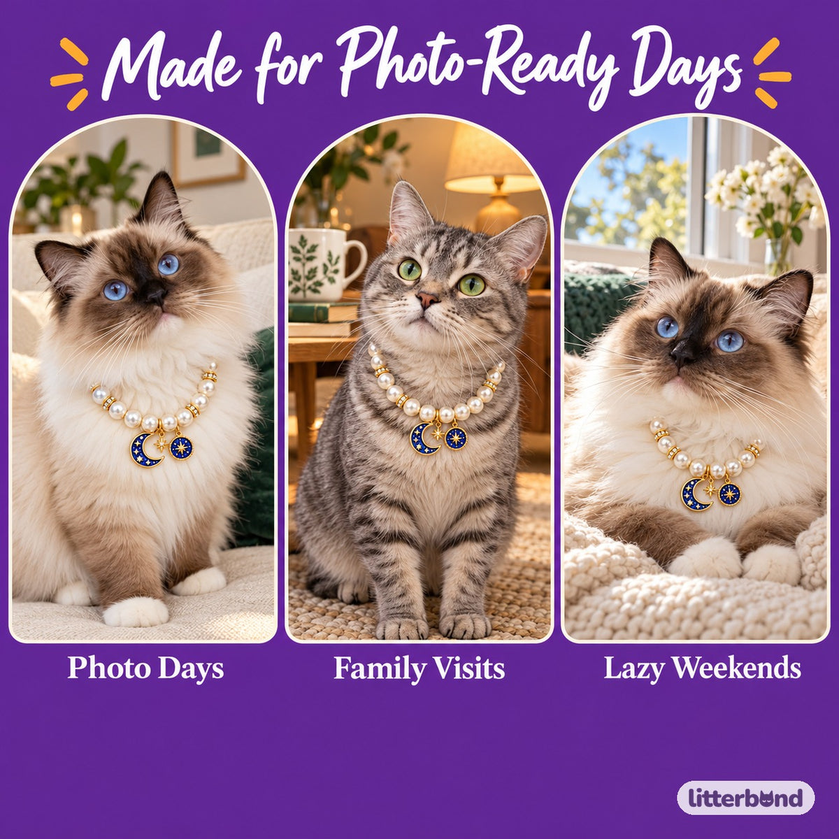 Celestial Pearl Necklace for Photos on a cat at home