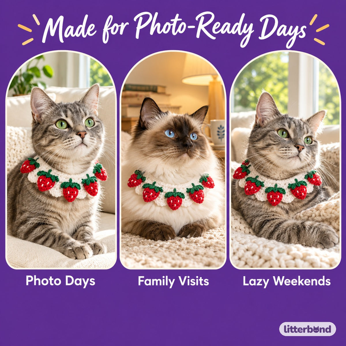 Strawberry Crochet Collar for Photos on a cat at home