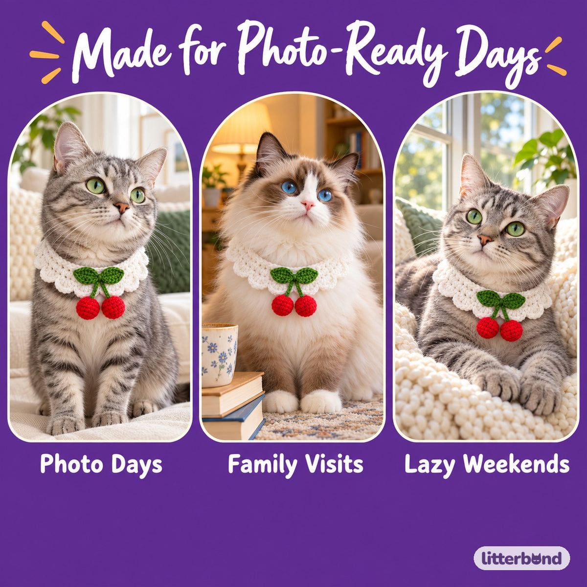 Crochet Fruit Collars for Photos on a cat at home