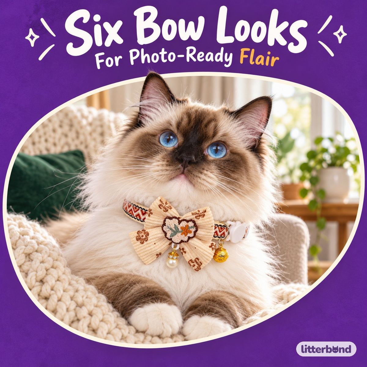 Decorative Lace Bow Bell Collar on a cat