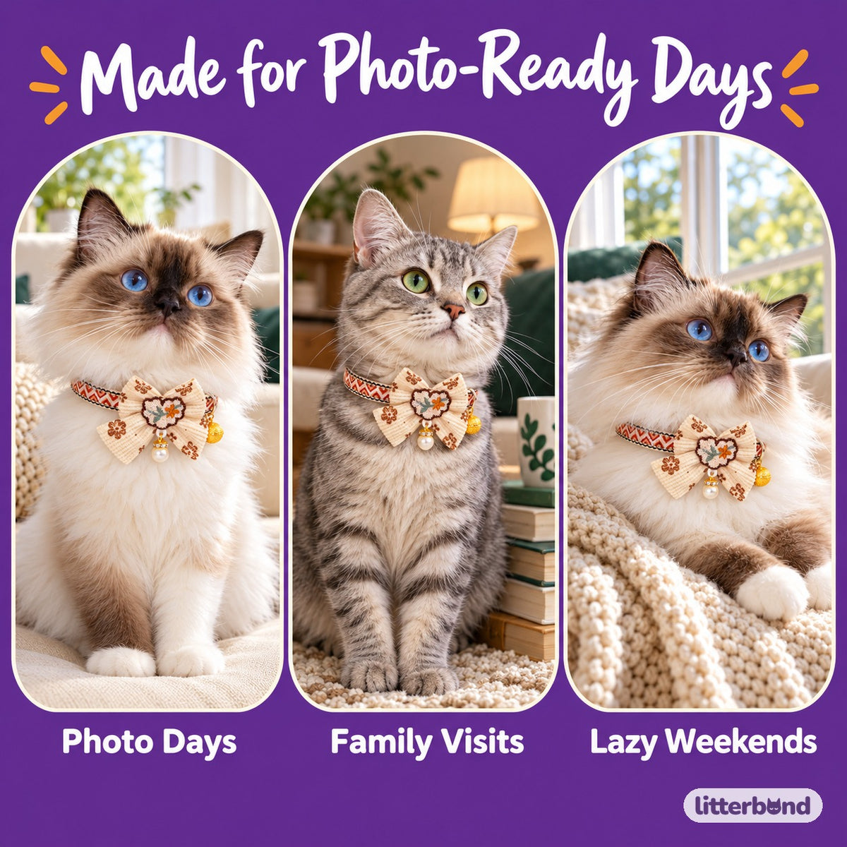 Decorative Lace Bow Bell Collar on a cat at home