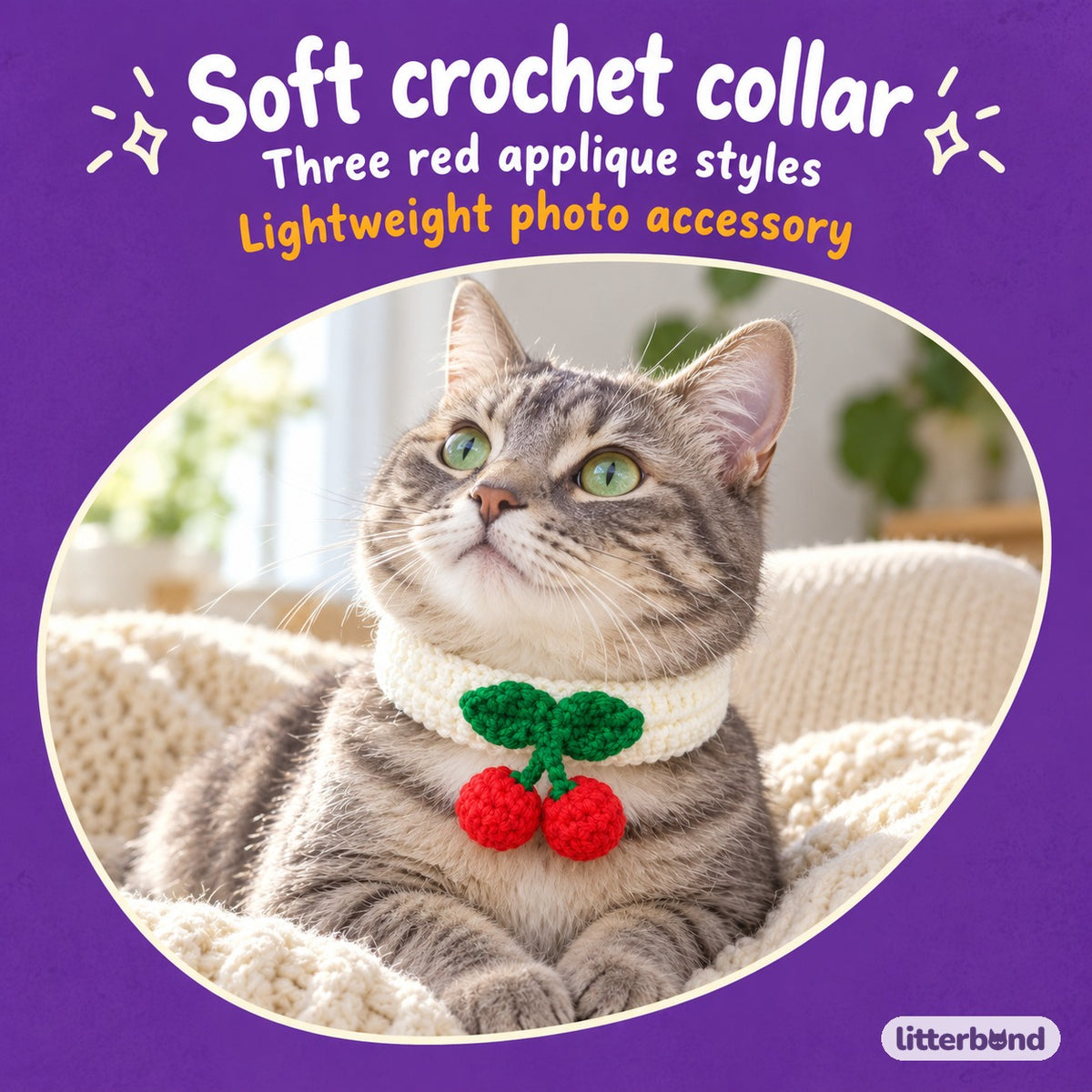 Red Applique Photo Collar on a cat