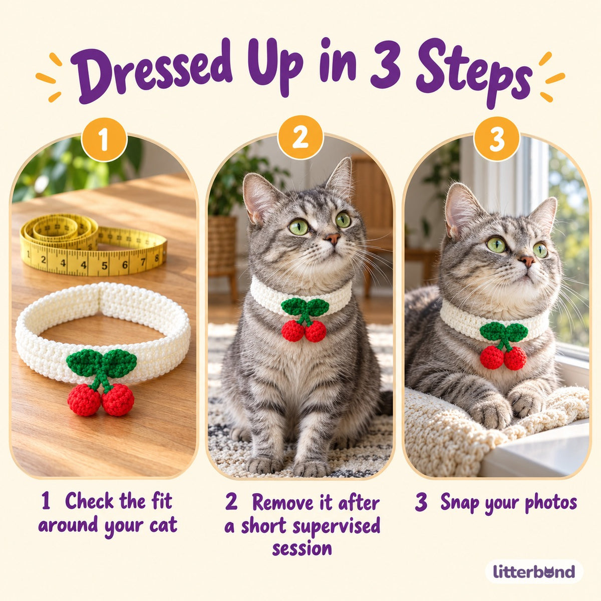 Red Applique Photo Collar - how to put it on