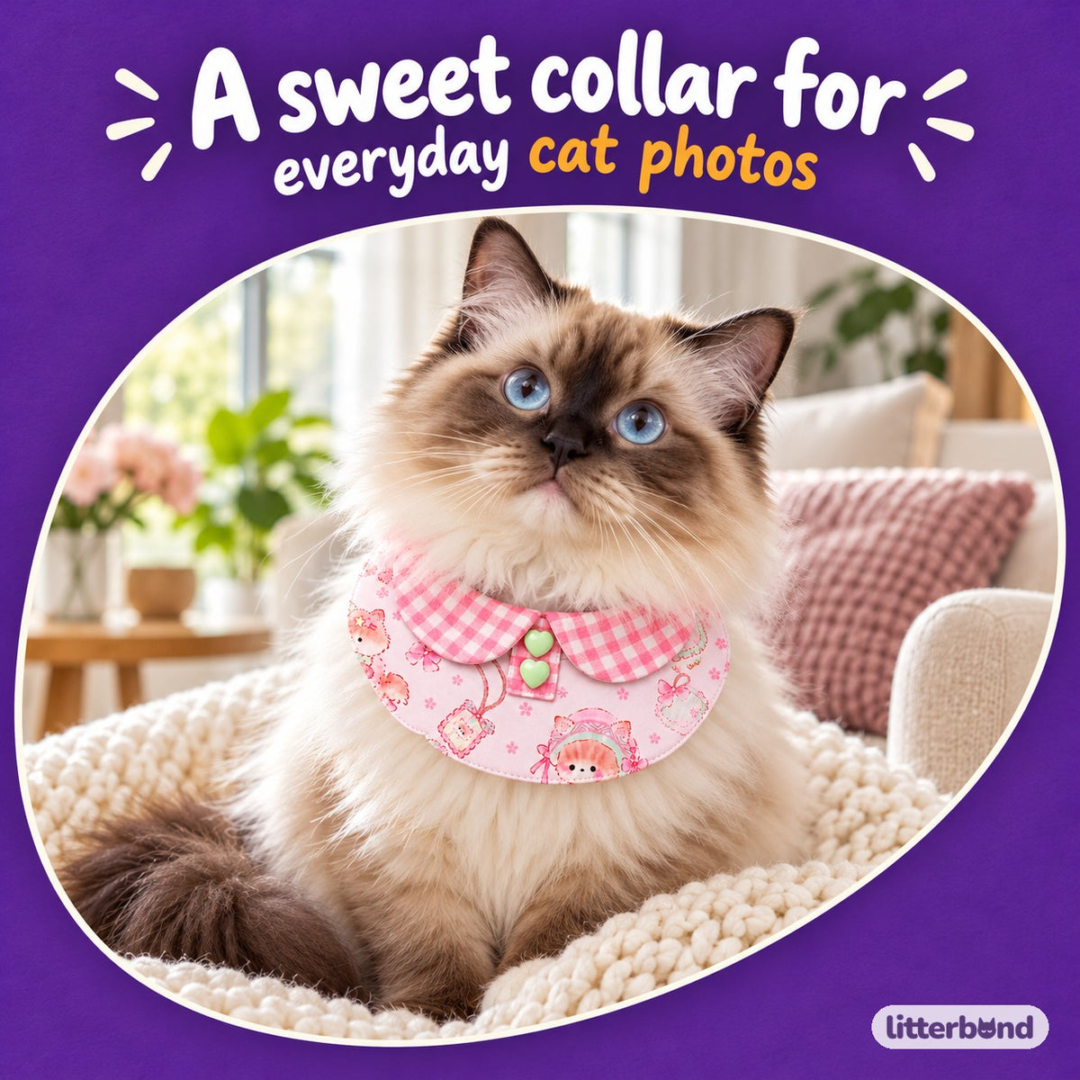 Pastel Gingham Photo Bib Collar on a cat