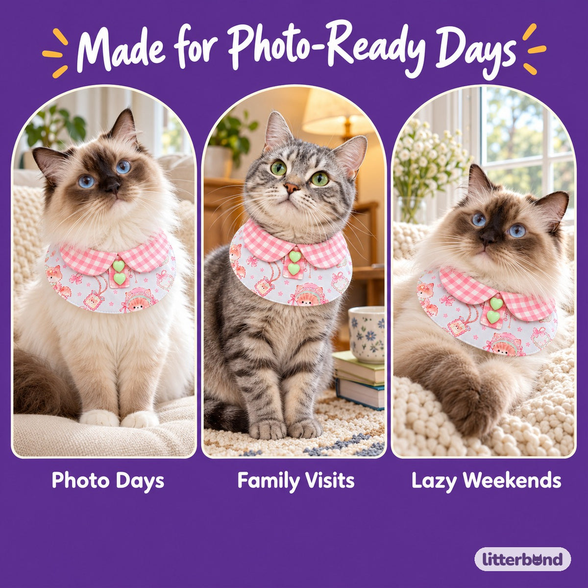 Pastel Gingham Photo Bib Collar on a cat at home