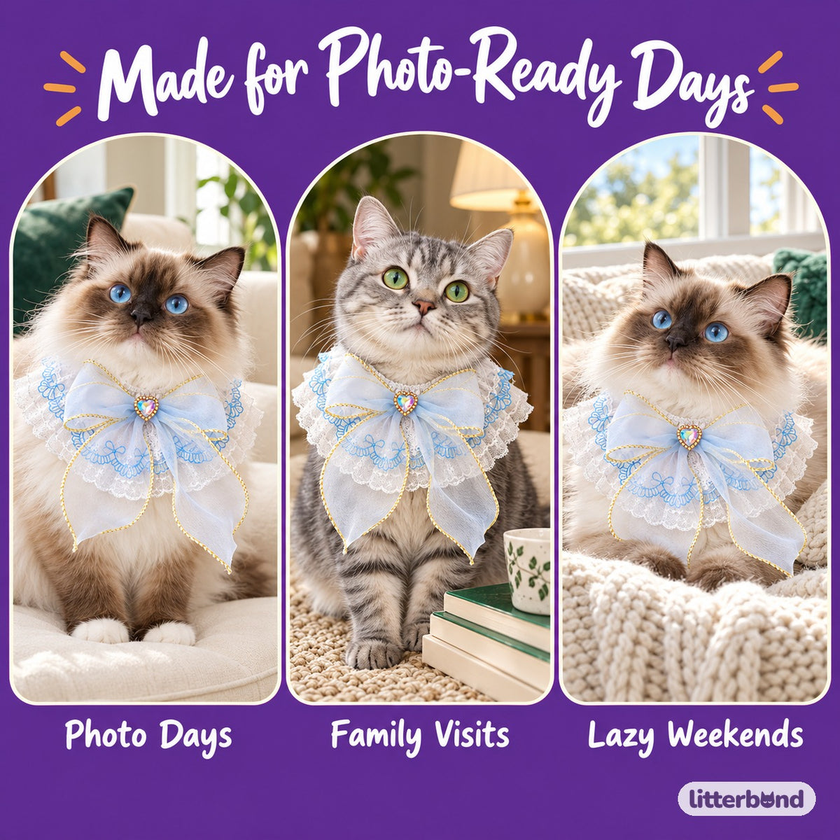 Pastel Lace Jewel Ruffle Collar on a cat at home
