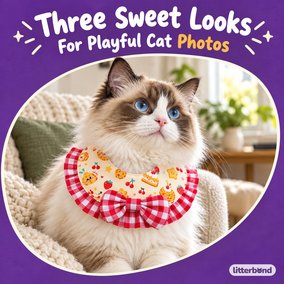 Dessert Bib & Scarf Photo Neckwear on a cat