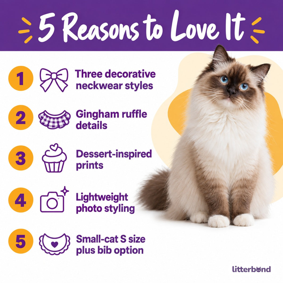 Dessert Bib & Scarf Photo Neckwear - 5 reasons to love it