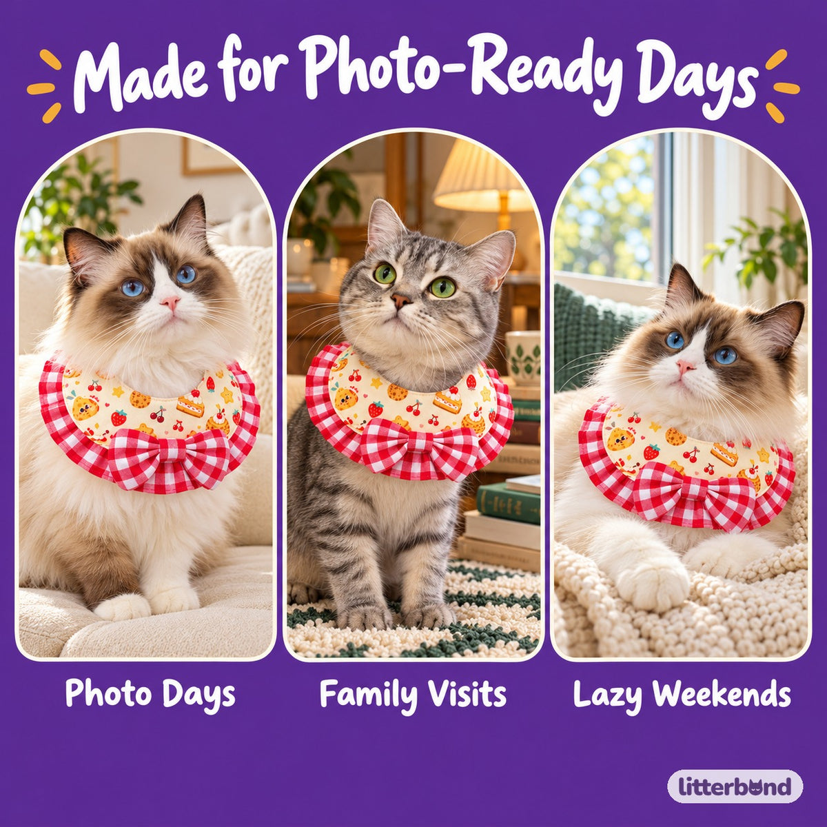 Dessert Bib & Scarf Photo Neckwear on a cat at home