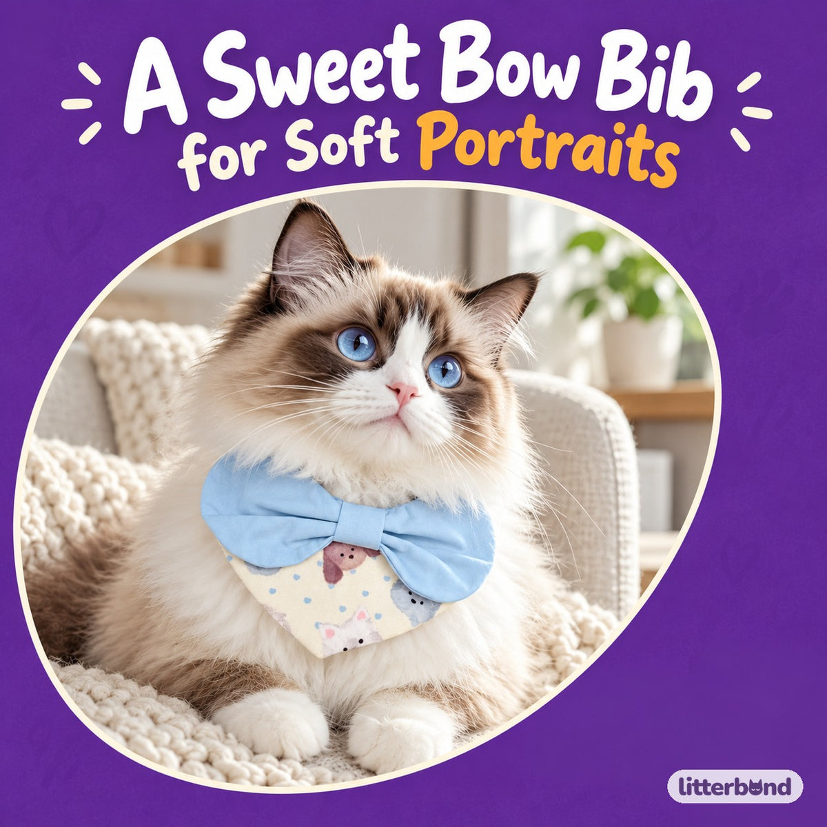 Pastel Blue Bow Bib for Photos on a cat