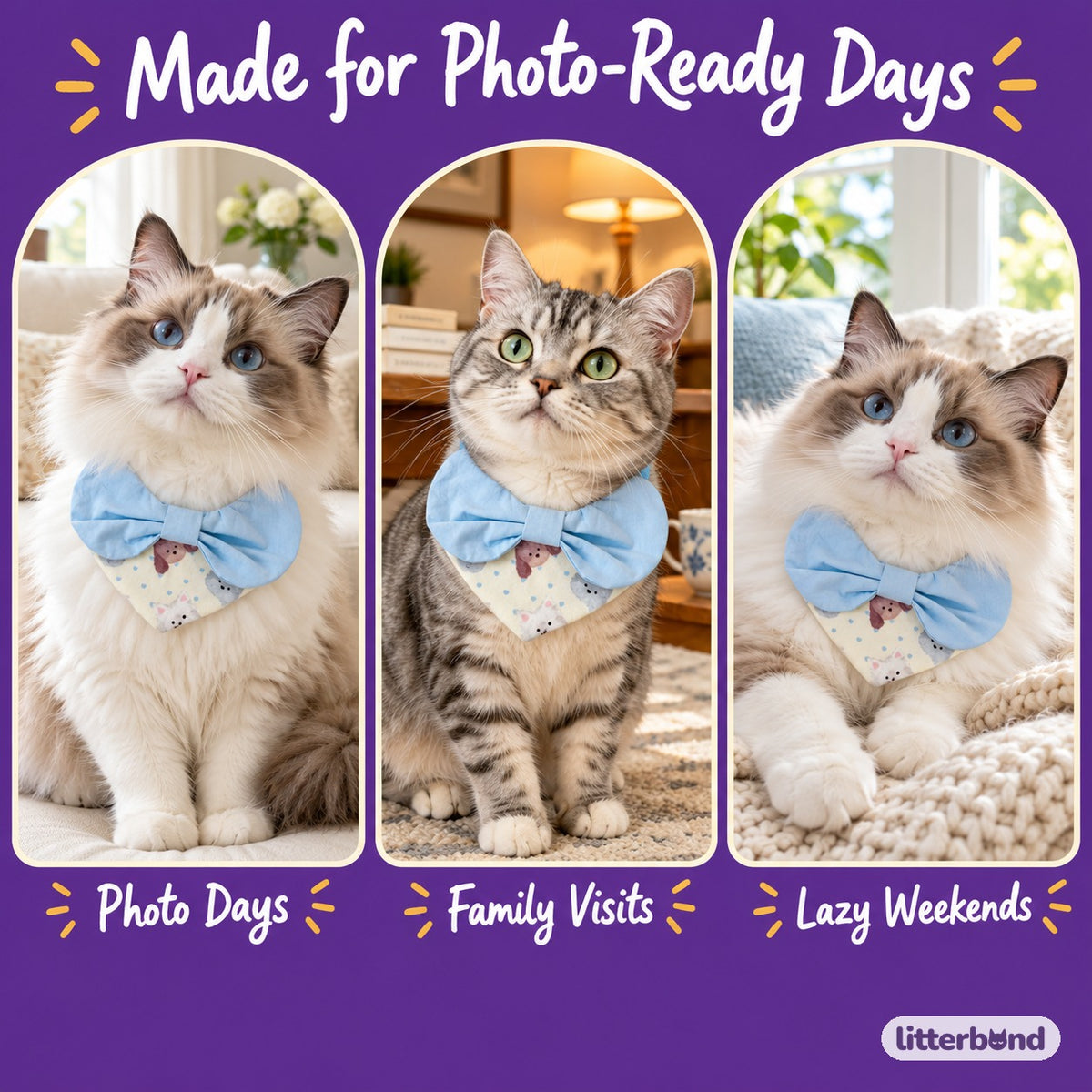Pastel Blue Bow Bib for Photos on a cat at home