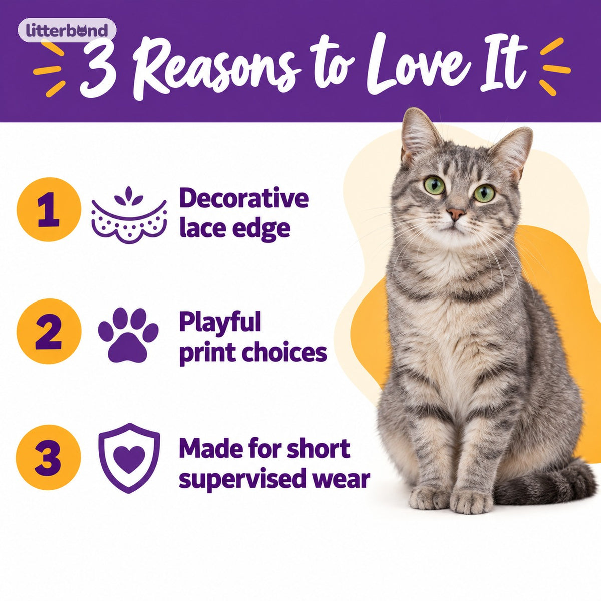 Printed Lace Bib Collar for Photos - 5 reasons to love it