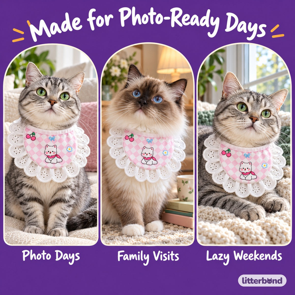 Printed Lace Bib Collar for Photos on a cat at home