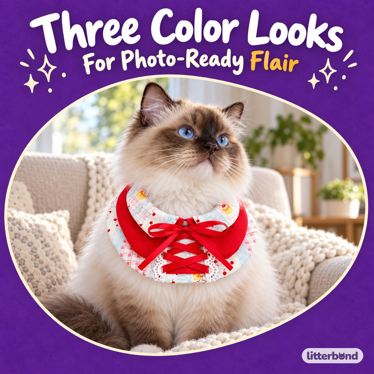 Printed Bow Bib Collars for Photos on a cat