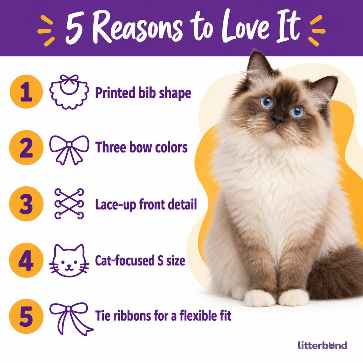 Printed Bow Bib Collars for Photos - 5 reasons to love it