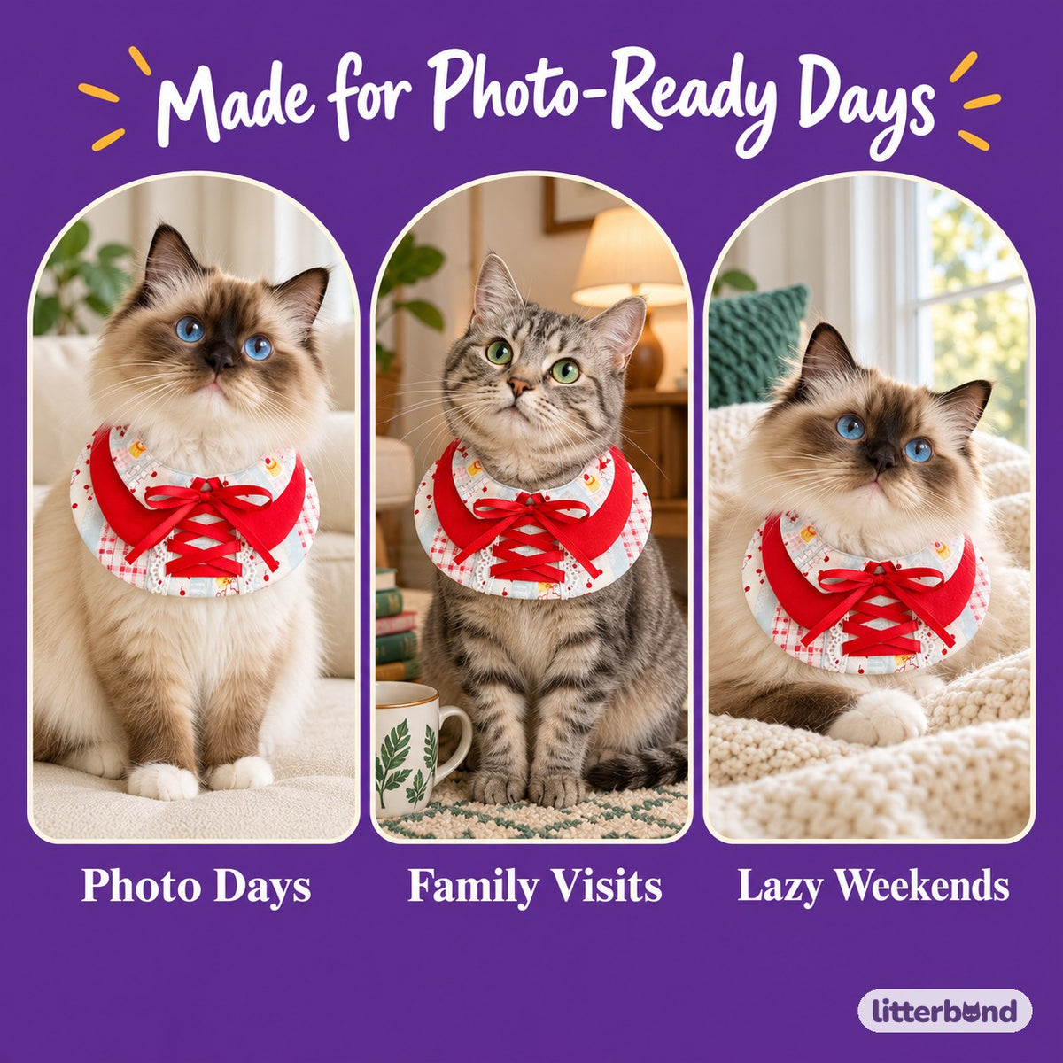 Printed Bow Bib Collars for Photos on a cat at home