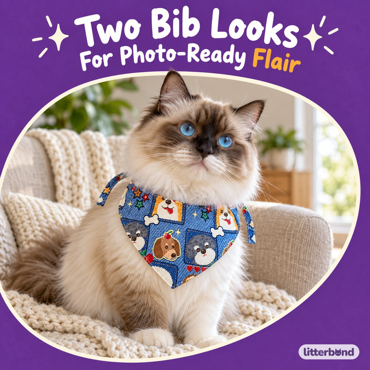 Denim-Print Bib Collars for Cat Photos on a cat