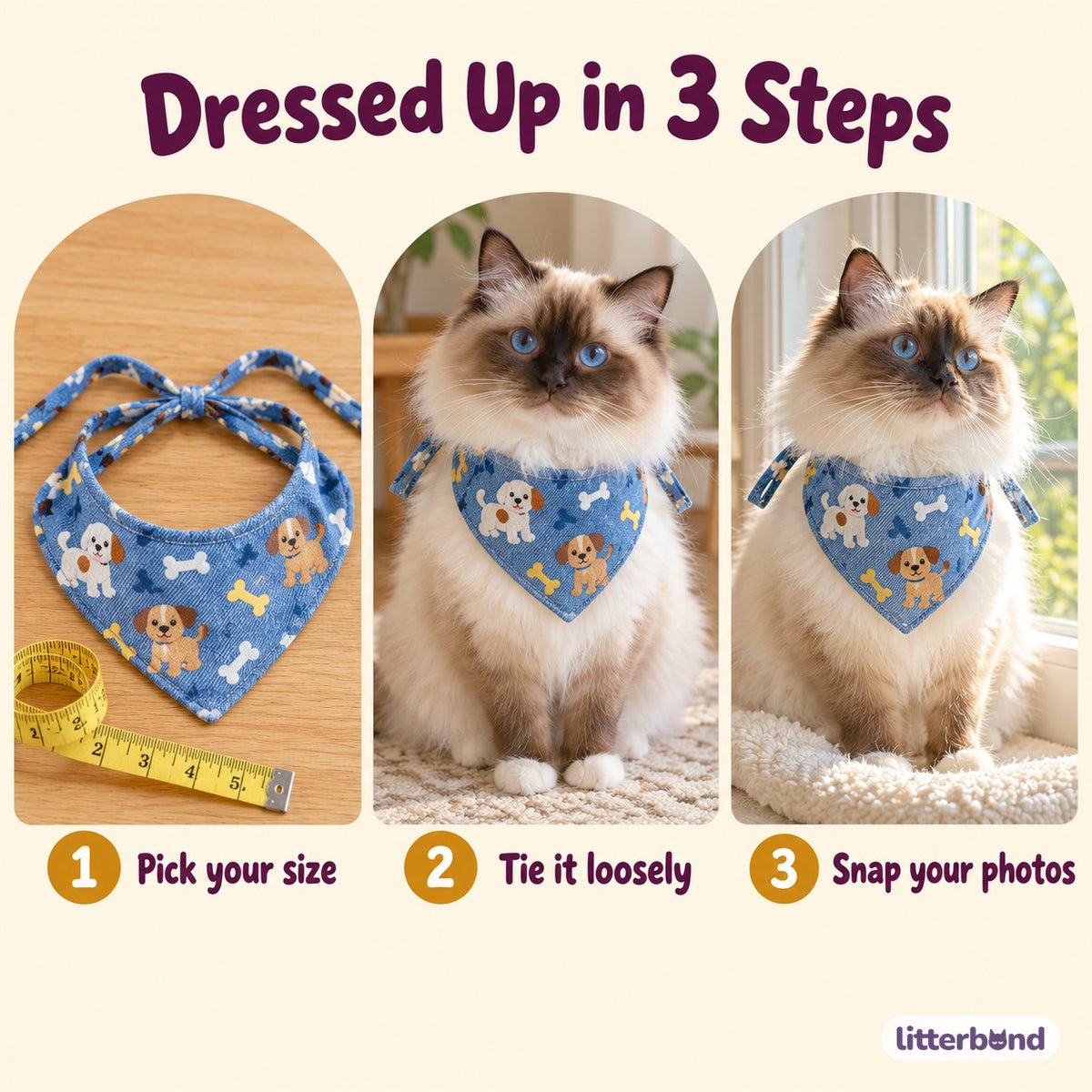 Denim-Print Bib Collars for Cat Photos - how to put it on