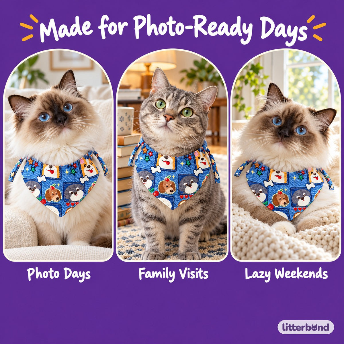 Denim-Print Bib Collars for Cat Photos on a cat at home
