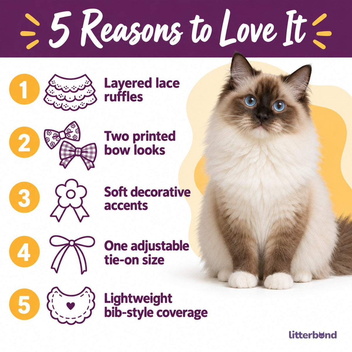 Lace Ruffle Bow Bib Collar for Cat Photos - 5 reasons to love it