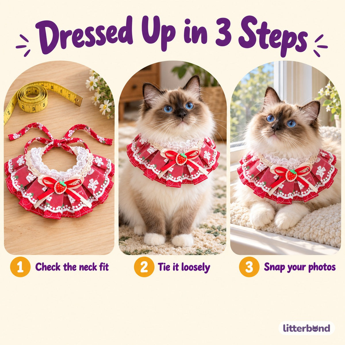 Lace Ruffle Bow Bib Collar for Cat Photos - how to put it on