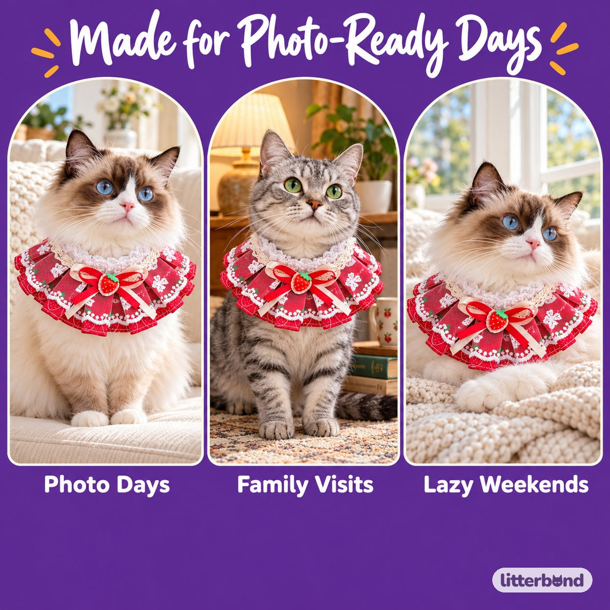 Lace Ruffle Bow Bib Collar for Cat Photos on a cat at home