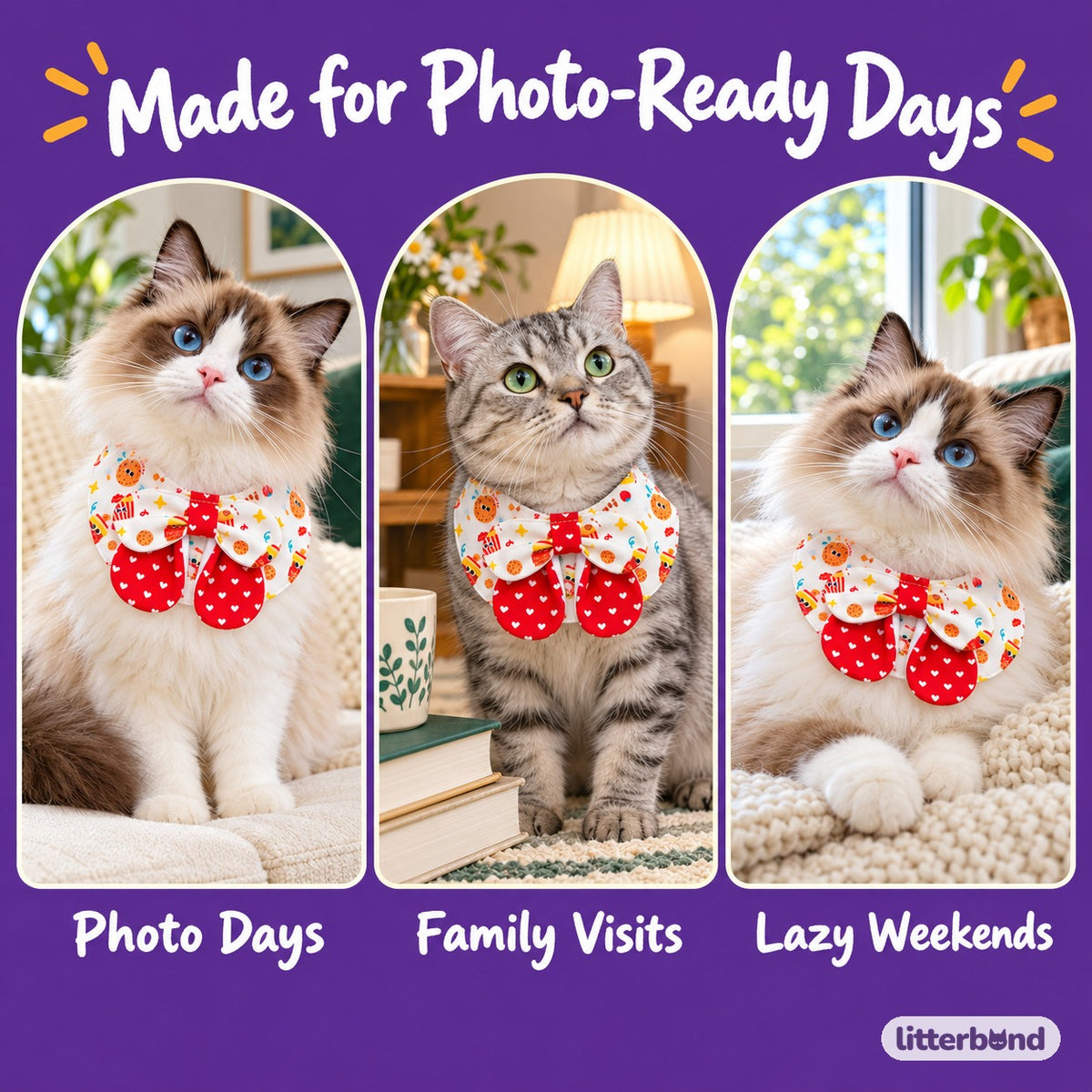 Red Gingham Dessert Bibs for Photos on a cat at home