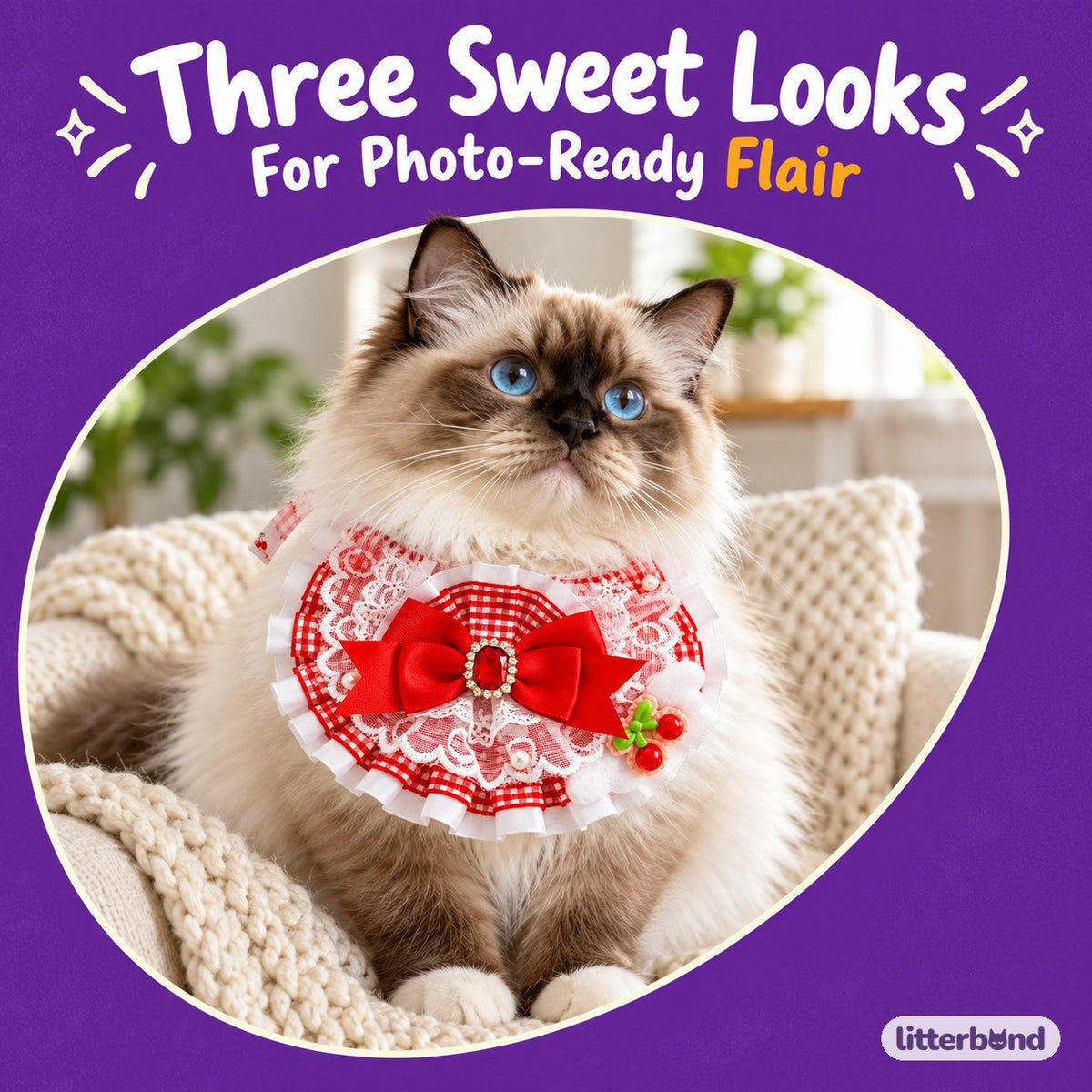 Jeweled Lace Strawberry Bib Collars on a cat