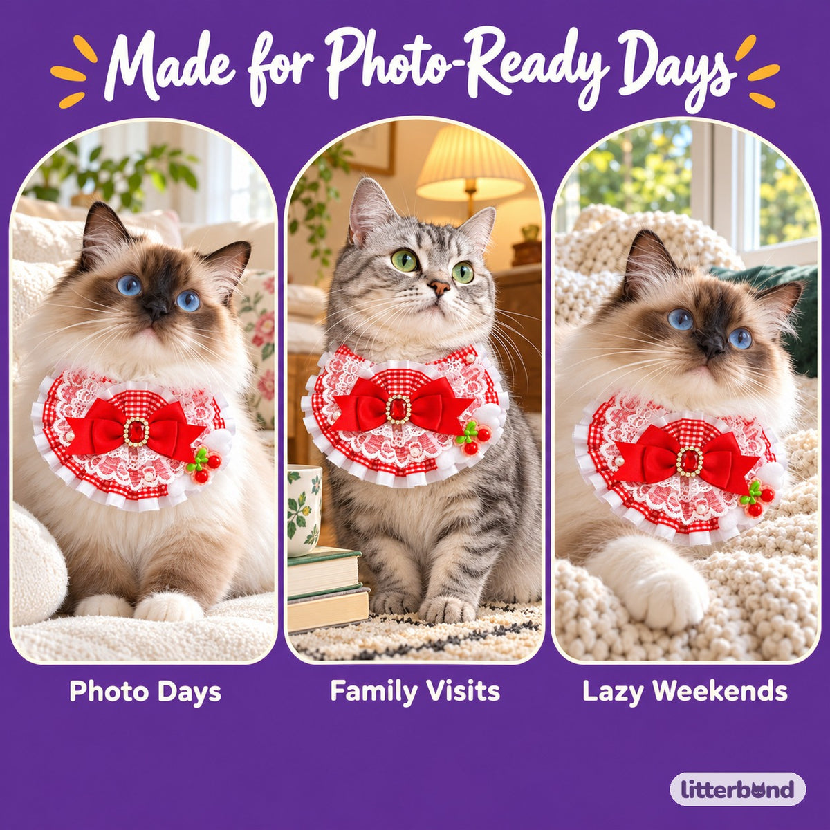 Jeweled Lace Strawberry Bib Collars on a cat at home
