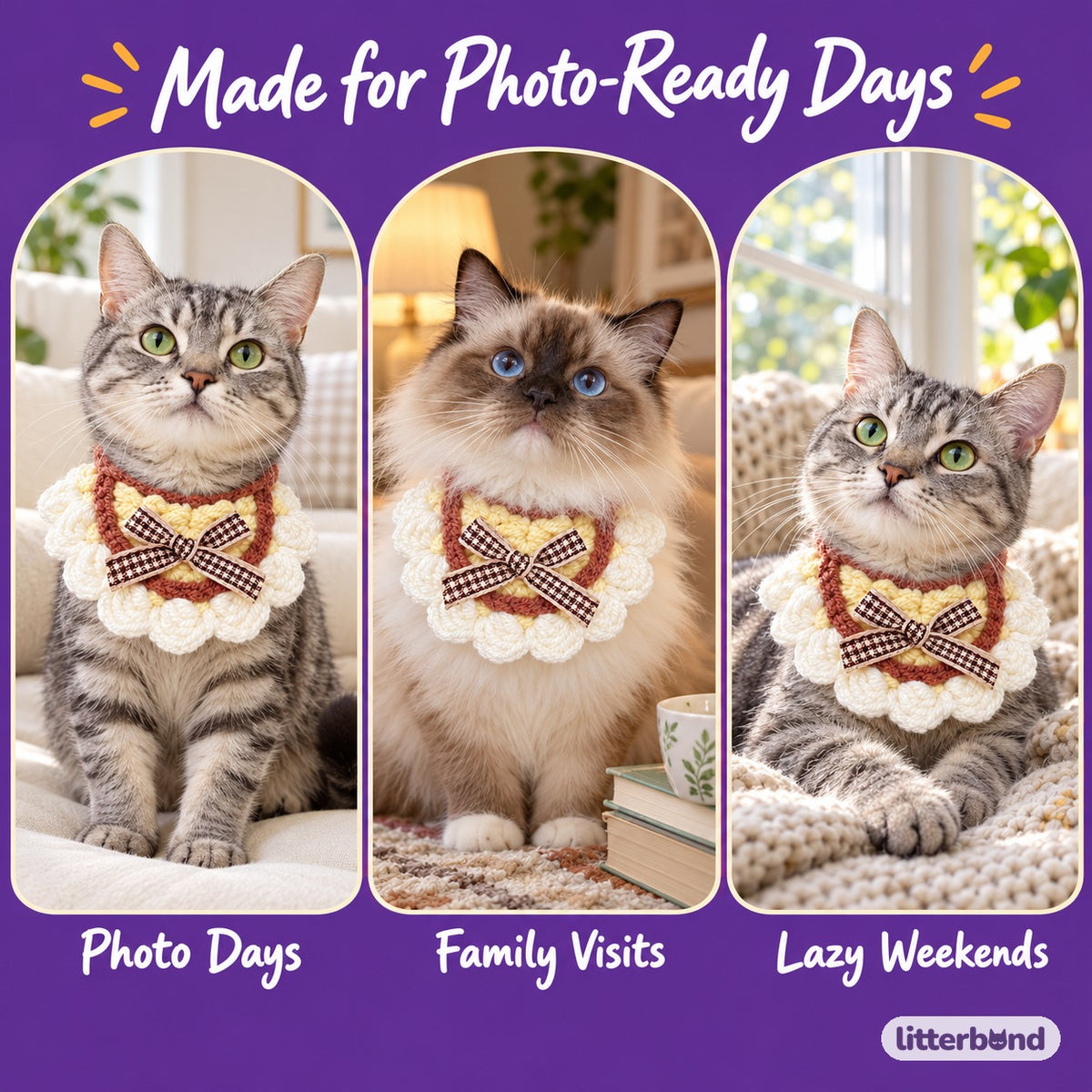 Scalloped Crochet Bib Collar on a cat at home