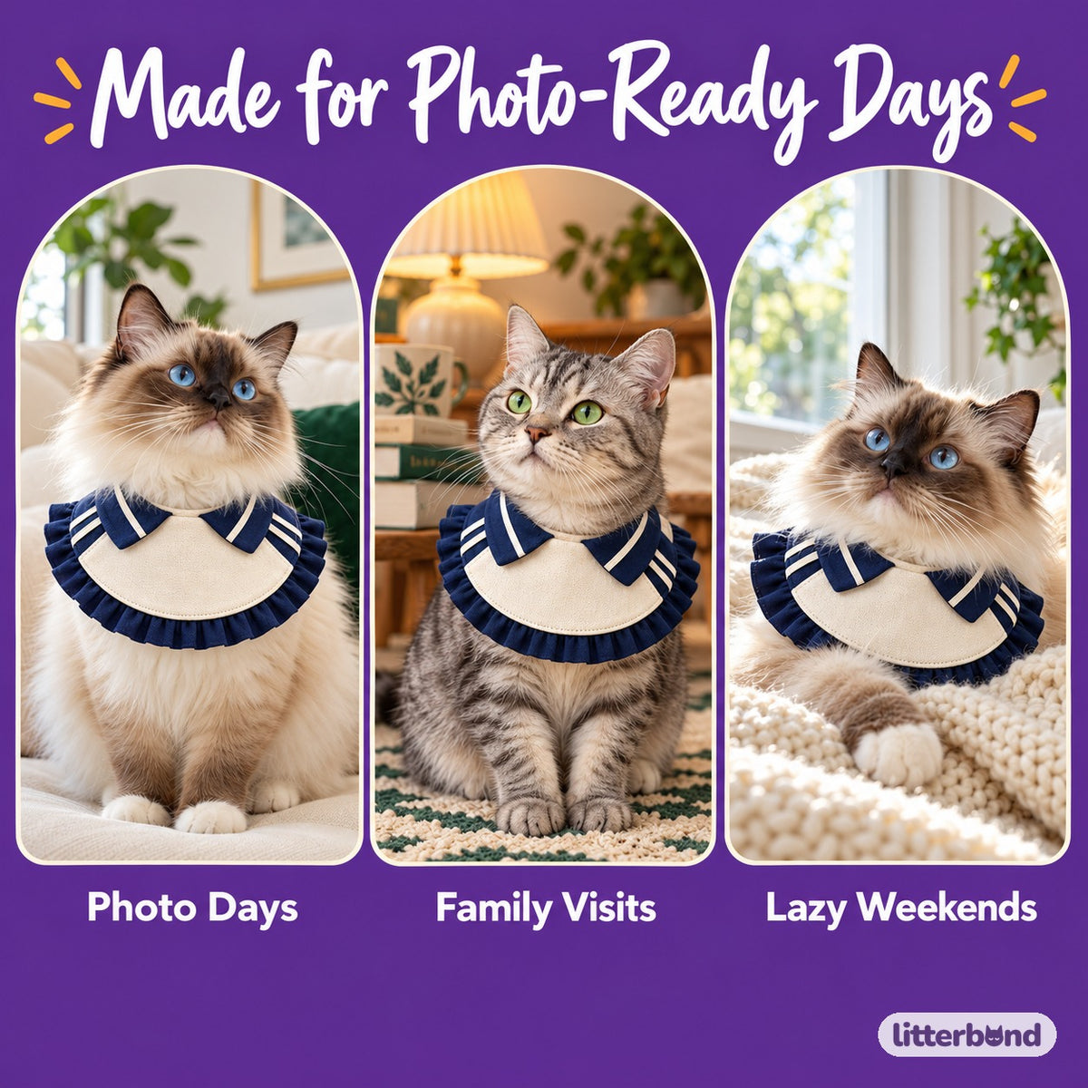 Navy Sailor Ruffle Bib on a cat at home