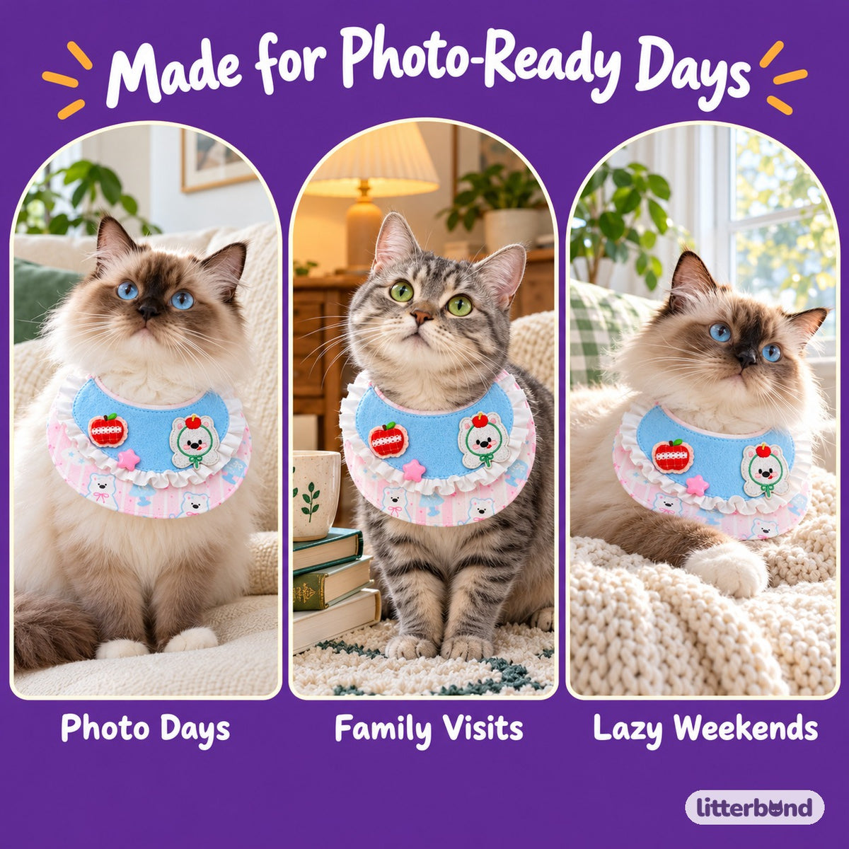 Blue Apple Bunny Bib for Photos on a cat at home