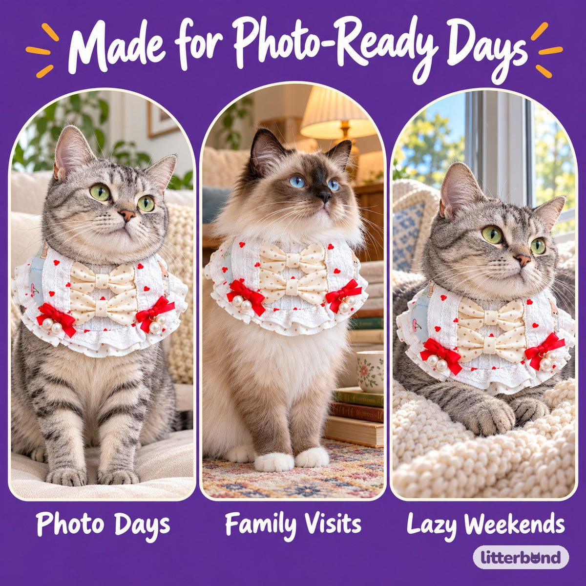 Pearl Bow Dessert Bibs on a cat at home