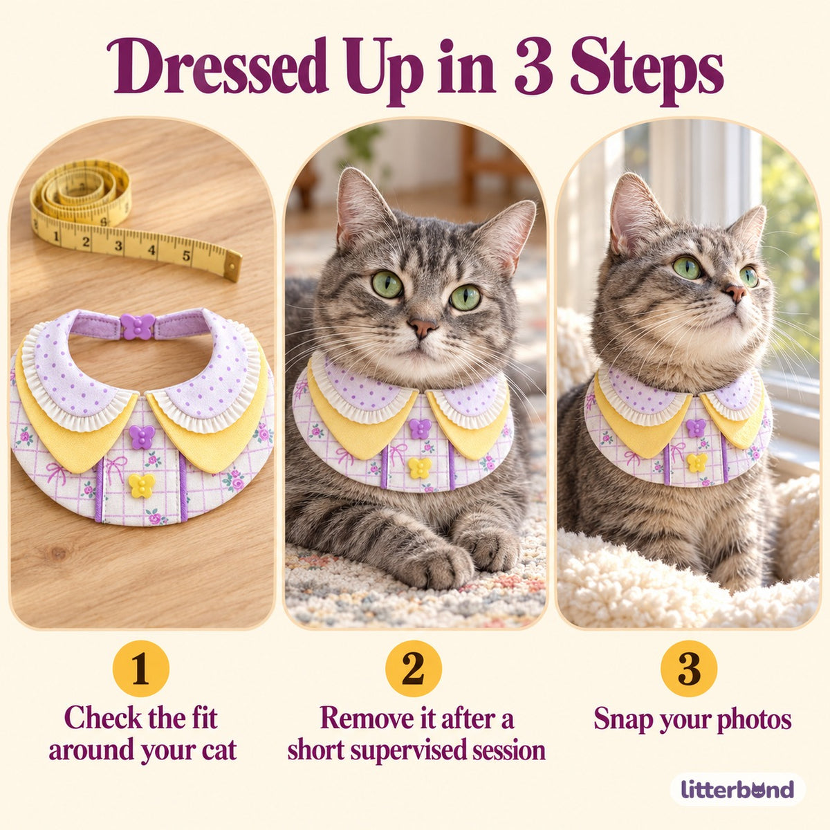 Lavender Bow Bib Collar for Photos - how to put it on