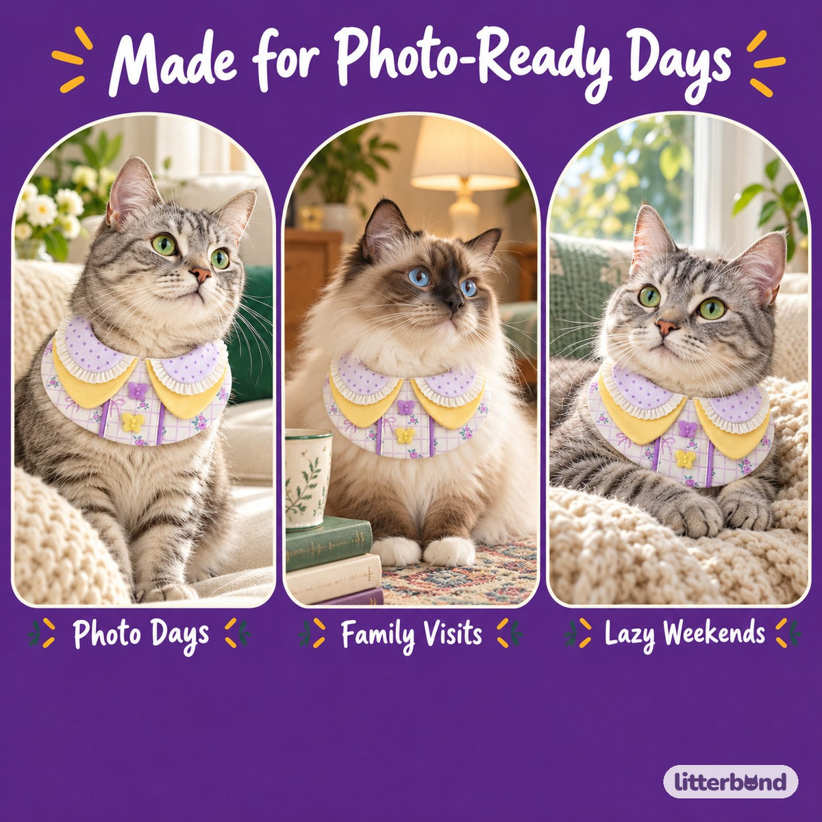 Lavender Bow Bib Collar for Photos on a cat at home