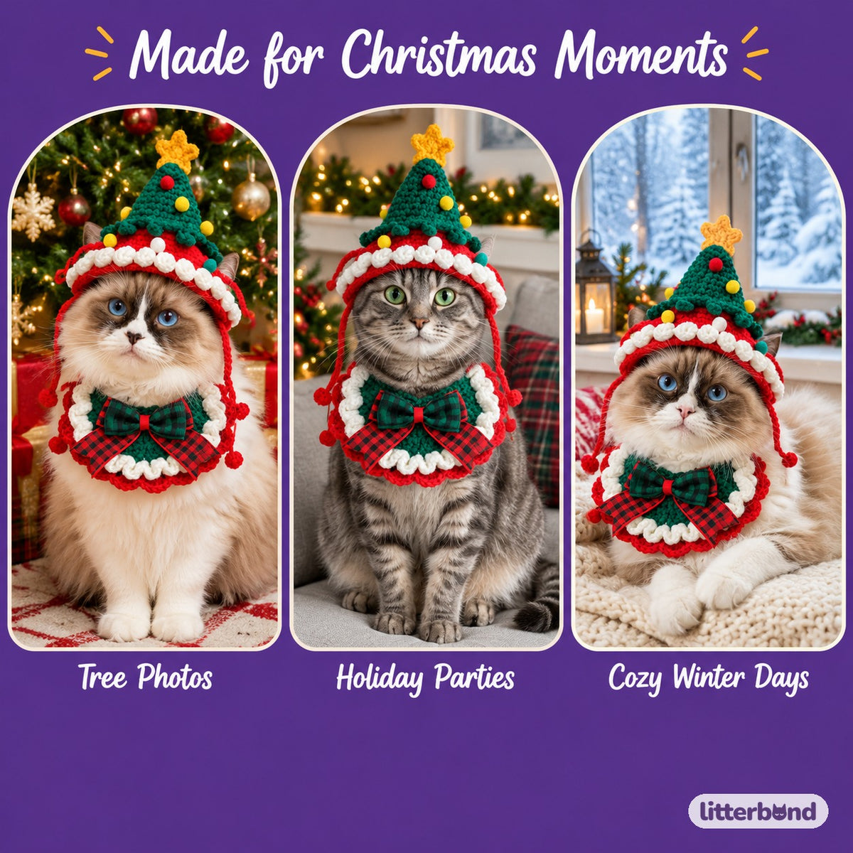 Star-Top Tree Hat & Collar Set on a cat at home