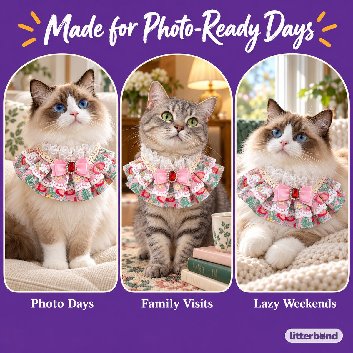 Floral Satin Bow Bib for Photos on a cat at home