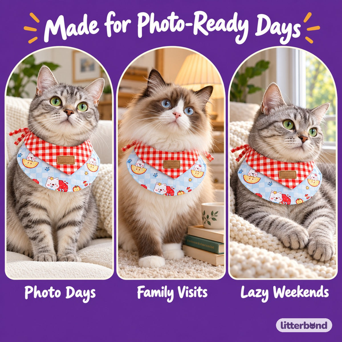 Red Gingham Cat Print Bib Collar for Photos on a cat at home