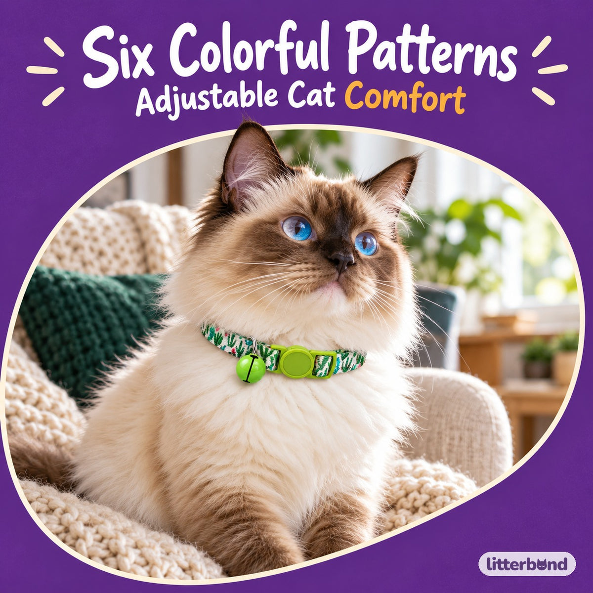 Patterned Bell Collar for Photos on a cat