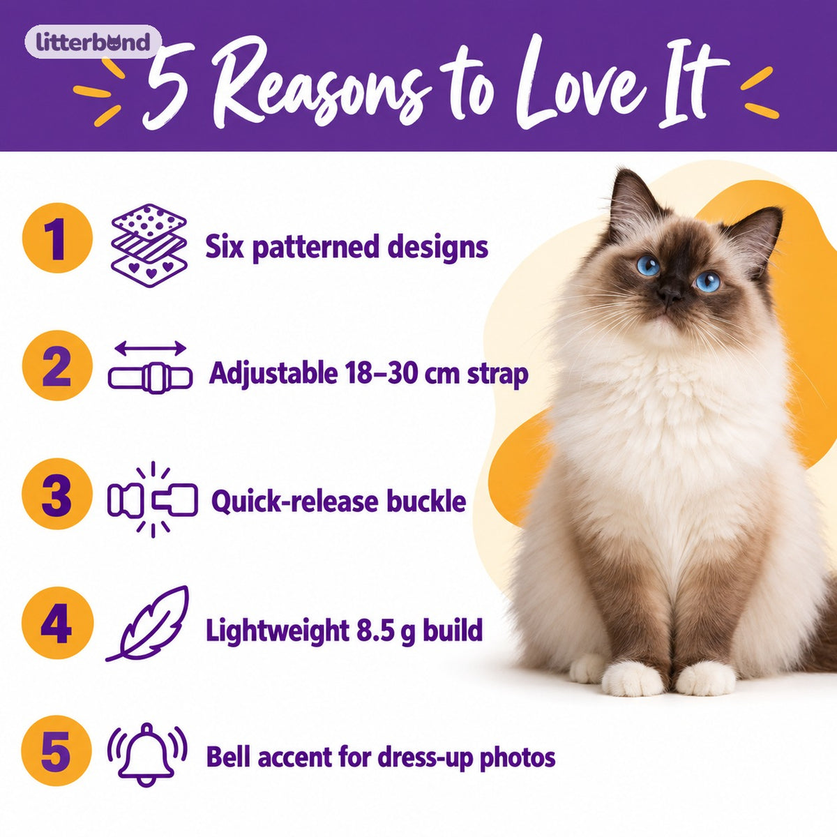 Patterned Bell Collar for Photos - 5 reasons to love it