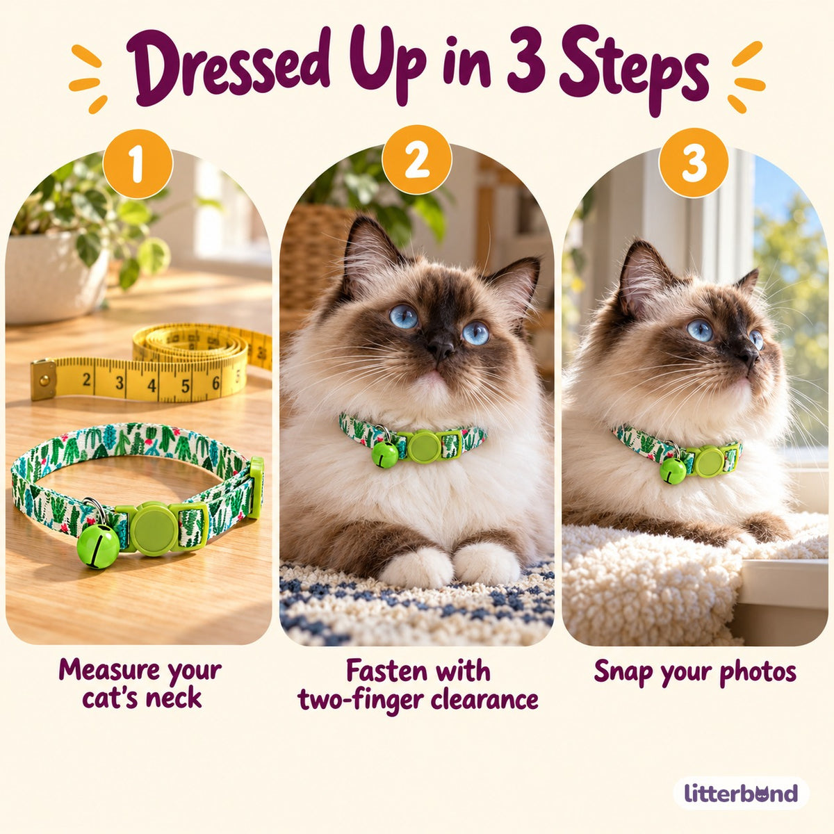 Patterned Bell Collar for Photos - how to put it on