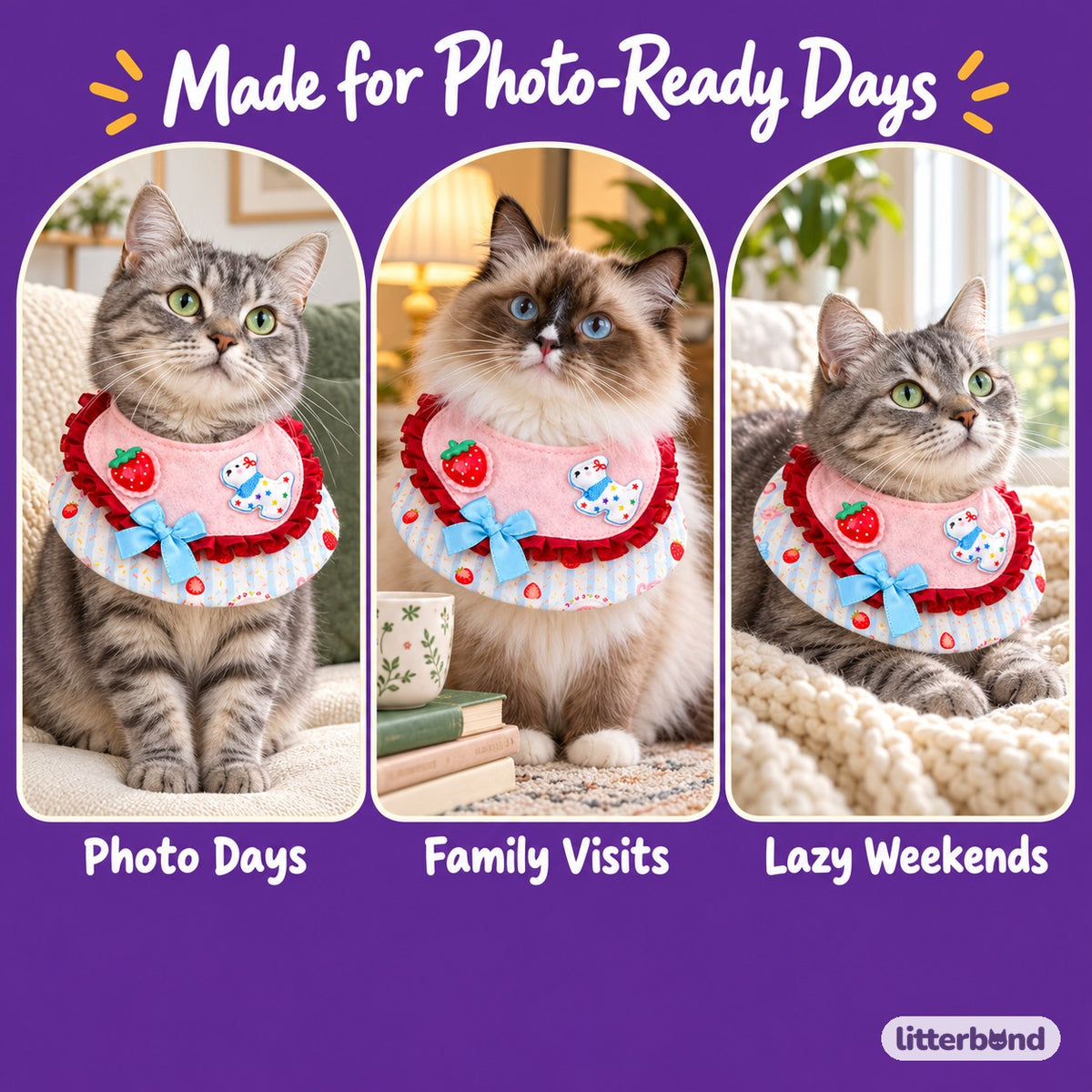Printed Ruffle Photo Bib on a cat at home