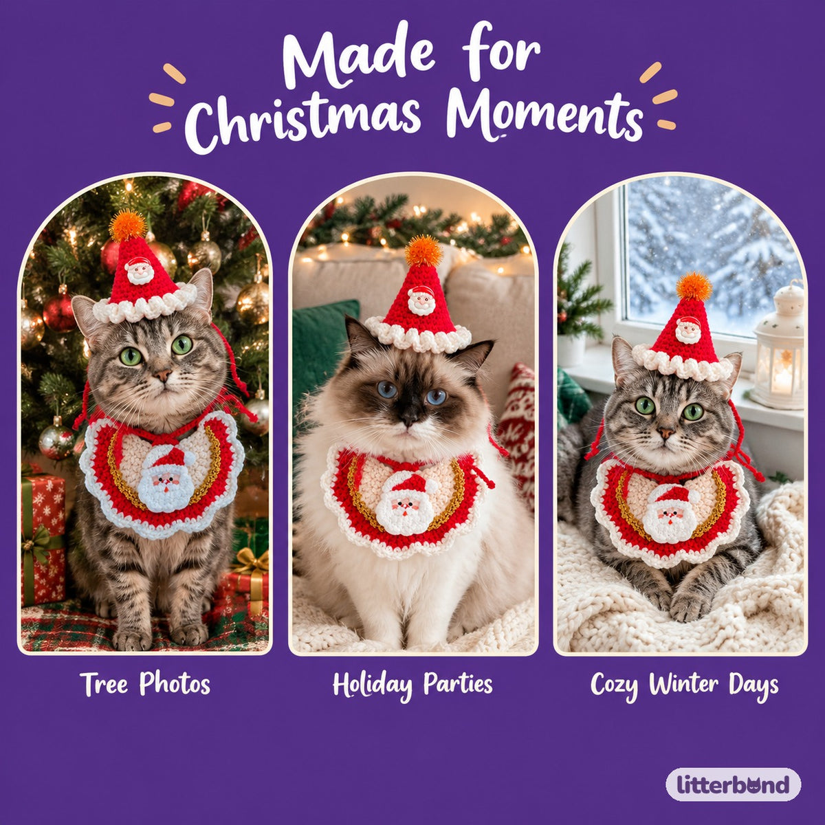 Tinsel Hat & Embroidered Bib Set on a cat at home