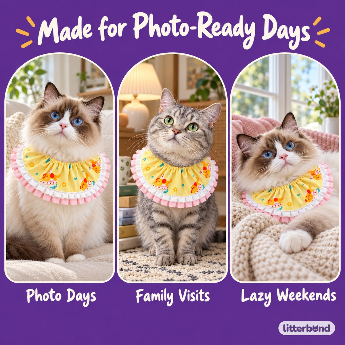 Gathered Ruffle Bib for Photos on a cat at home