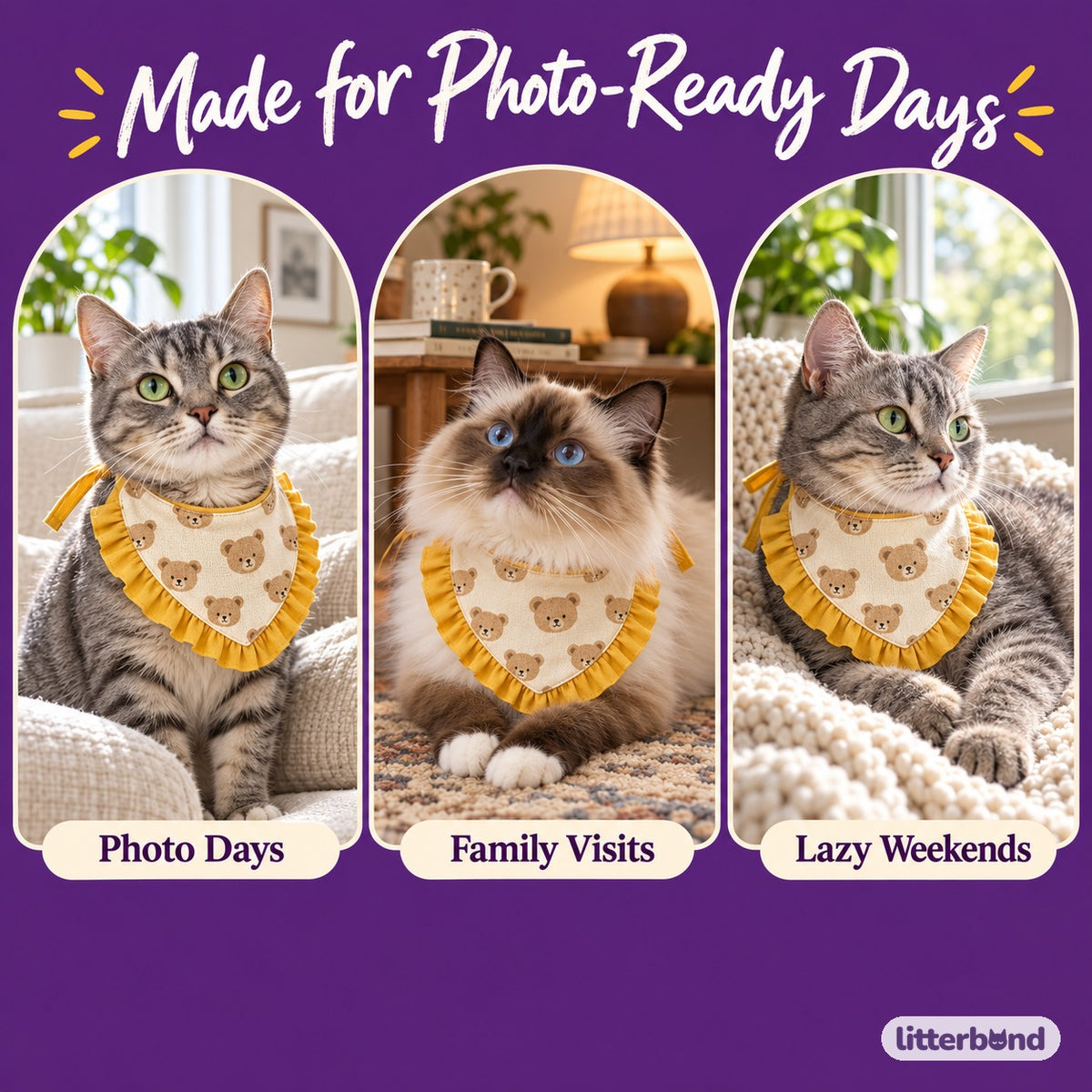 Printed Lace Ruffle Bibs on a cat at home