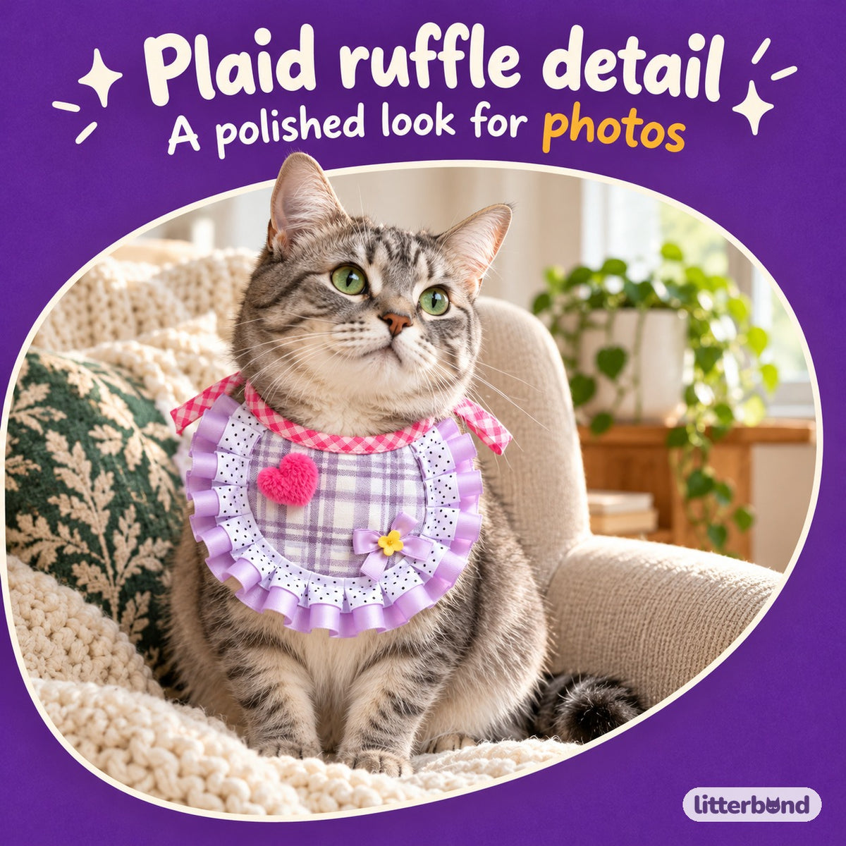 Purple Plaid Bib for Photos on a cat