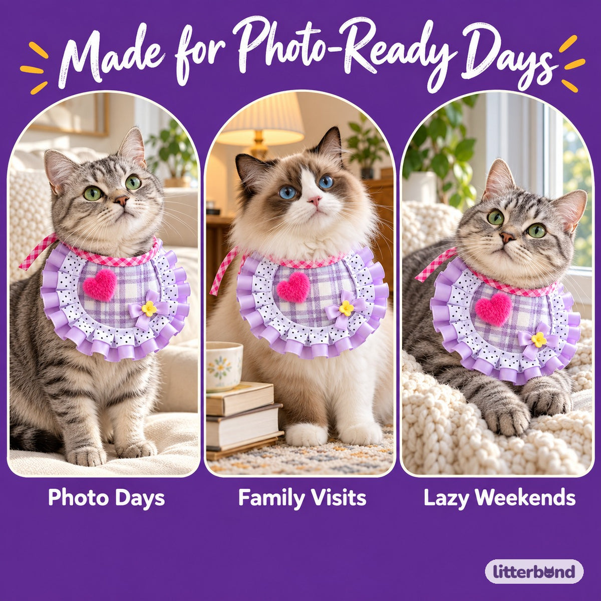 Purple Plaid Bib for Photos on a cat at home