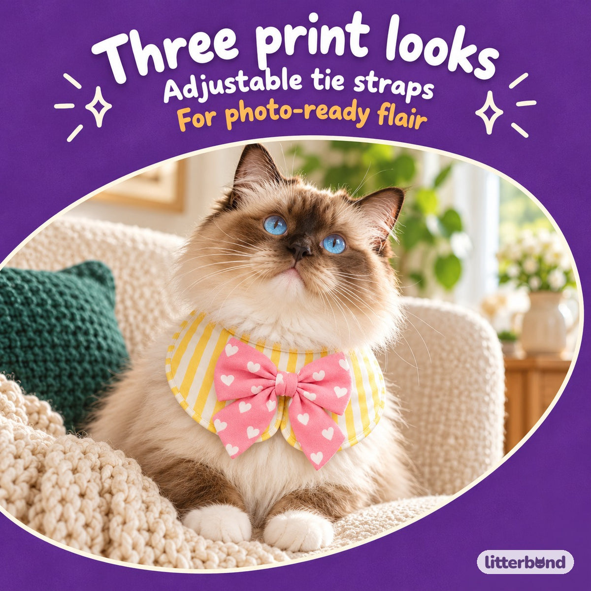 Bow Bib Collar for Photos on a cat